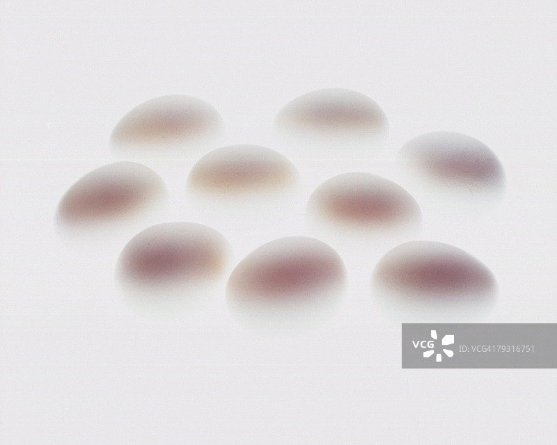 八个鸡蛋，高键图片素材