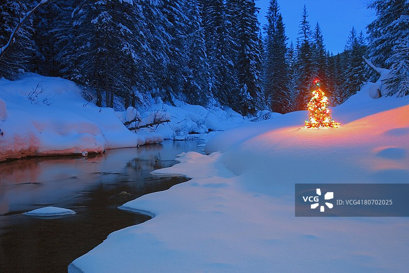 山涧边一棵发光的圣诞树图片素材