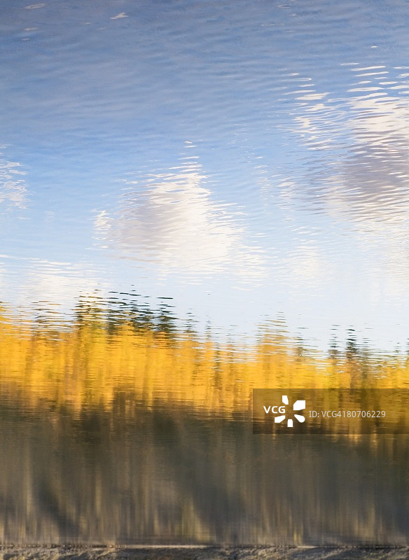 秋叶在水中的倒影图片素材