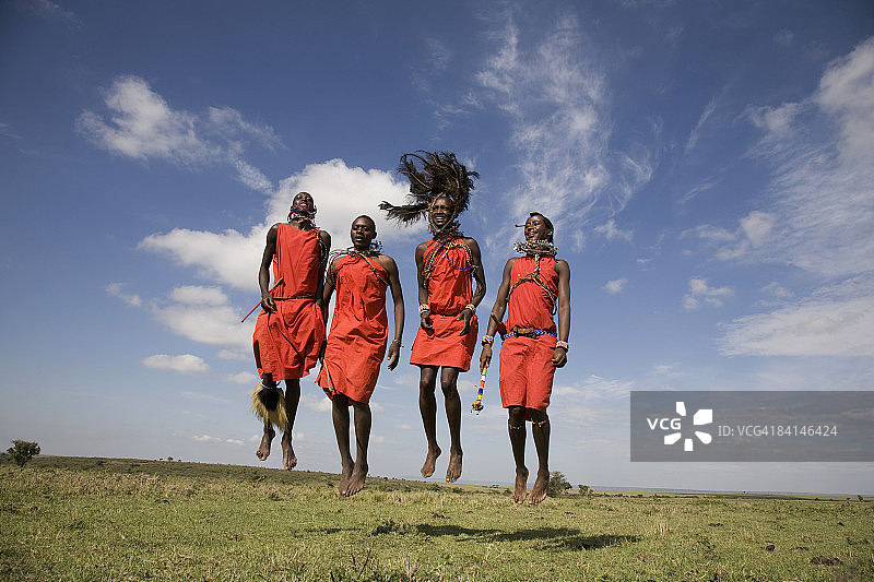 非洲。Kenia。马赛马拉国家保护区。图片素材