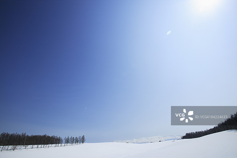 日本，北海道，北，白雪覆盖的景观与树木图片素材
