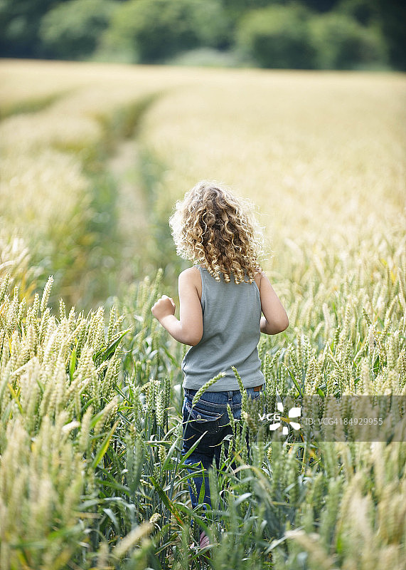 年轻女孩走在玉米地的小路上图片素材