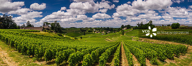 美丽的天空和云朵下的葡萄园全景。法国波尔多葡萄酒图片素材