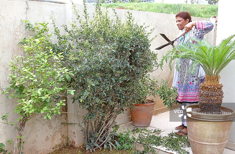 巴基斯坦妇女在家做园艺、修剪或修剪植物的巴基斯坦妇女图片素材