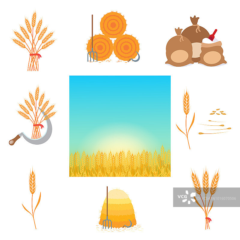 小麦收获平面风格设计矢量插图集。农具和生产的东西。全麦谷粒用种子、镰刀、草垛、千捆草垛、袋装面粉，麦田景观孤立。图片素材