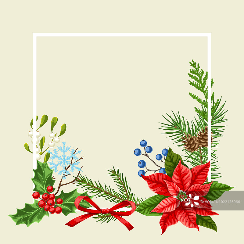 装饰框架与冬季植物图片素材