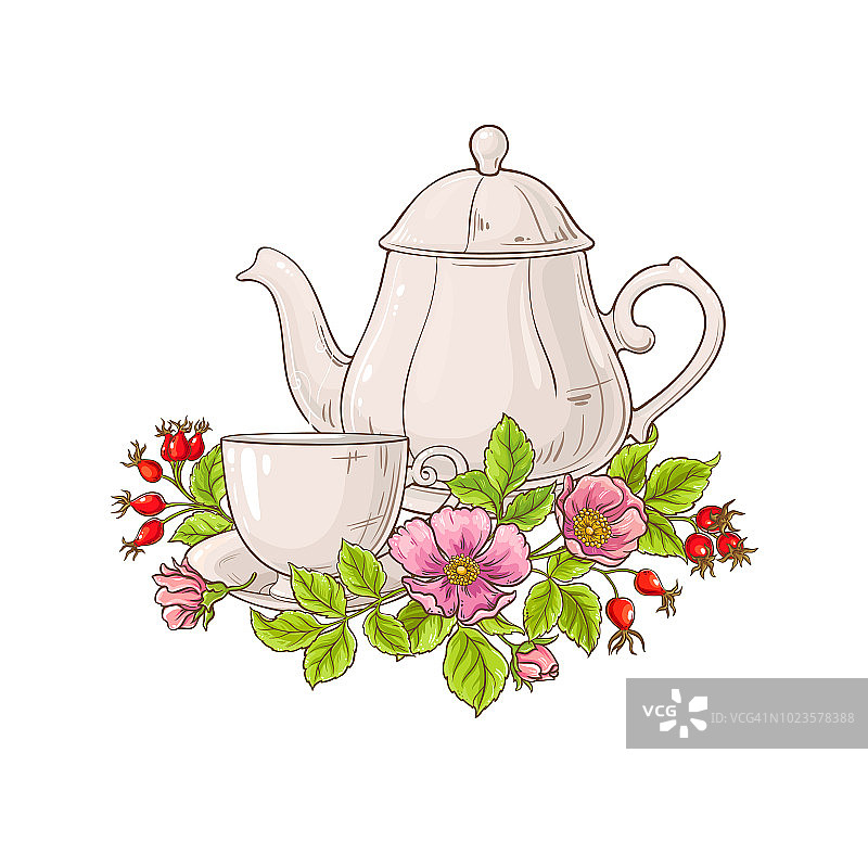 野玫瑰茶插图图片素材