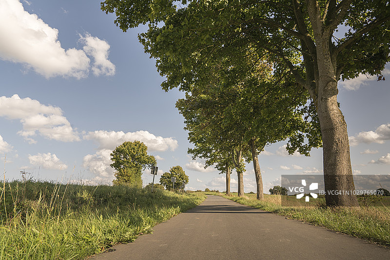 德国石勒苏益格荷尔斯泰因的乡村道路。图片素材