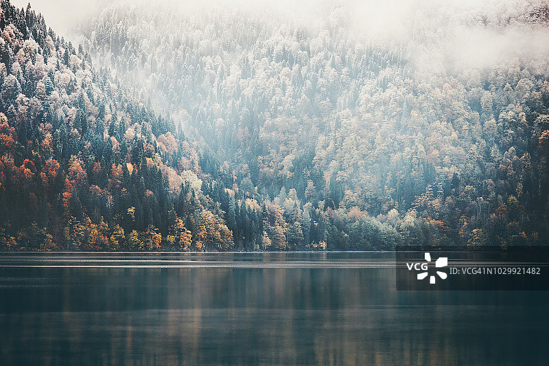 雾蒙蒙的针叶林和湖泊野生景观，旅游宁静的风景图片素材
