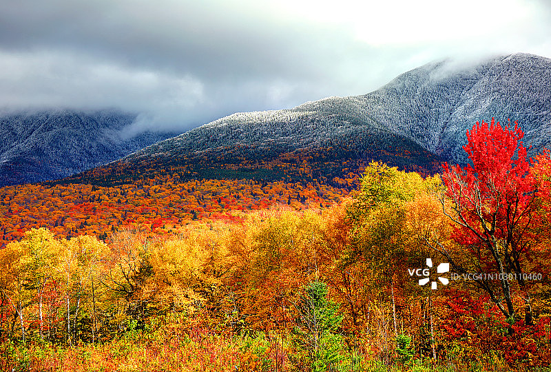 秋天的树叶和华盛顿山山坡上的雪图片素材