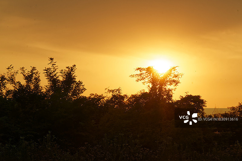 美丽的日出在非洲，萨法里，埃塞俄比亚。图片素材