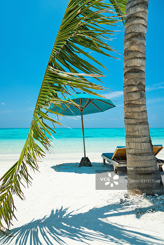 在马尔代夫的热带天堂海滩上的棕榈，Herathera岛图片素材