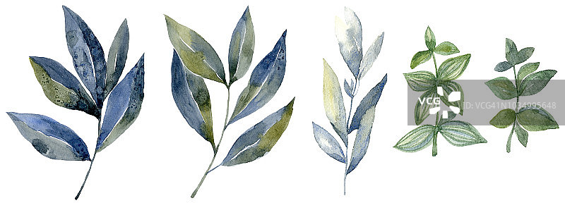 水彩与森林树叶。洗画插图。图片素材