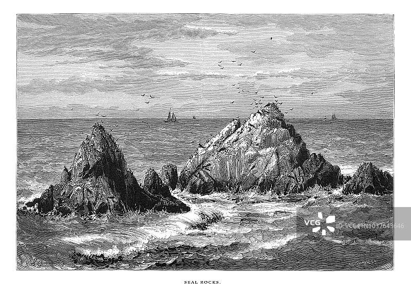美国加利福尼亚海岸的海豹岩石，美国维多利亚版画，1872年图片素材