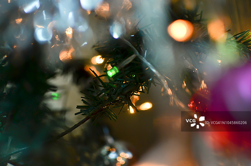 有模糊灯光的圣诞树树枝图片素材