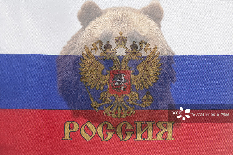 俄罗斯国旗上的棕色俄罗斯熊图片素材
