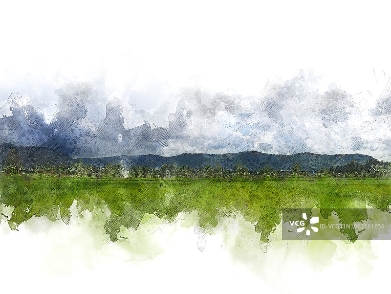 抽象的树木和田野风景的水彩插图绘画背景。图片素材