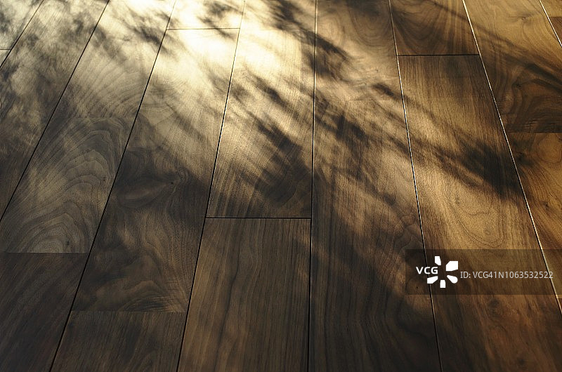 有阳光的木地板图片素材