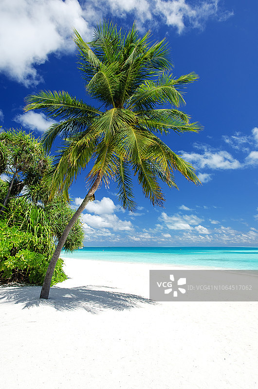 马尔代夫的热带天堂海滩图片素材