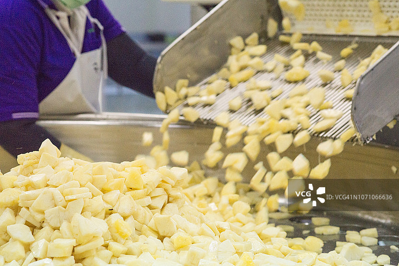 罐装菠萝生产线，泰国普拉楚布基里汗省图片素材