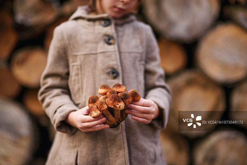 站在柴堆旁的女孩拿着野生蘑菇，美国图片素材