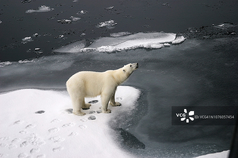 北极艾斯布伦图片素材