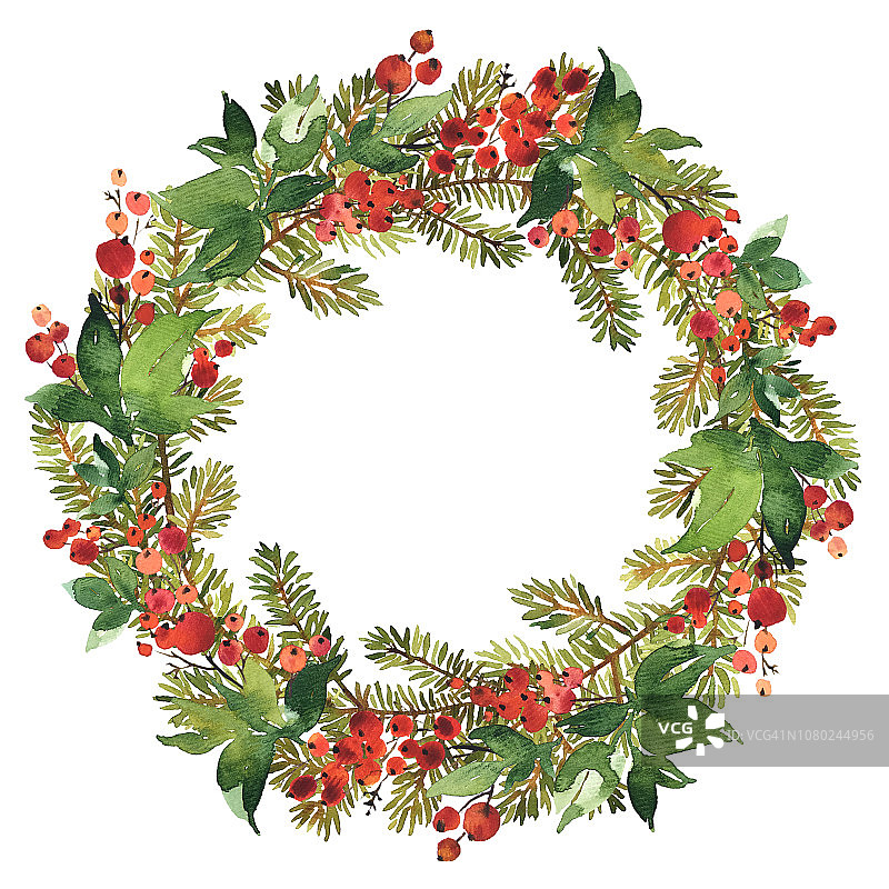 圣诞水彩云杉和红冬青浆果花环图片素材
