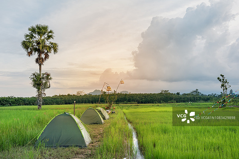 一个美丽的风景帐篷和郁郁葱葱的稻田景色在早晨日出。图片素材