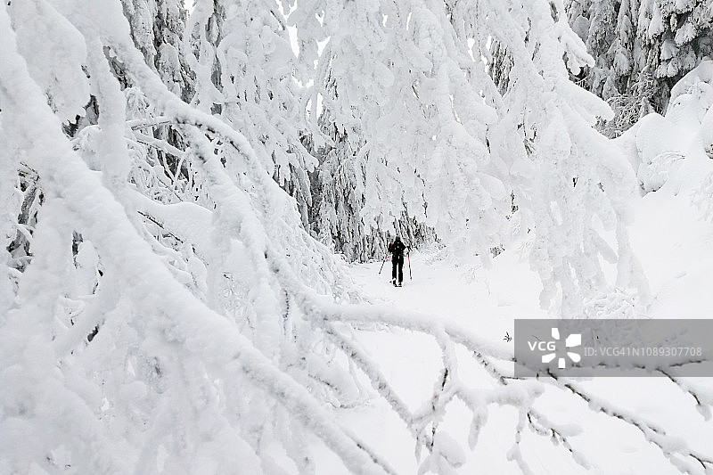 孤独的年轻女子滑雪旅游，自由骑手在通往顶峰，喀尔巴阡山脉，罗马尼亚图片素材
