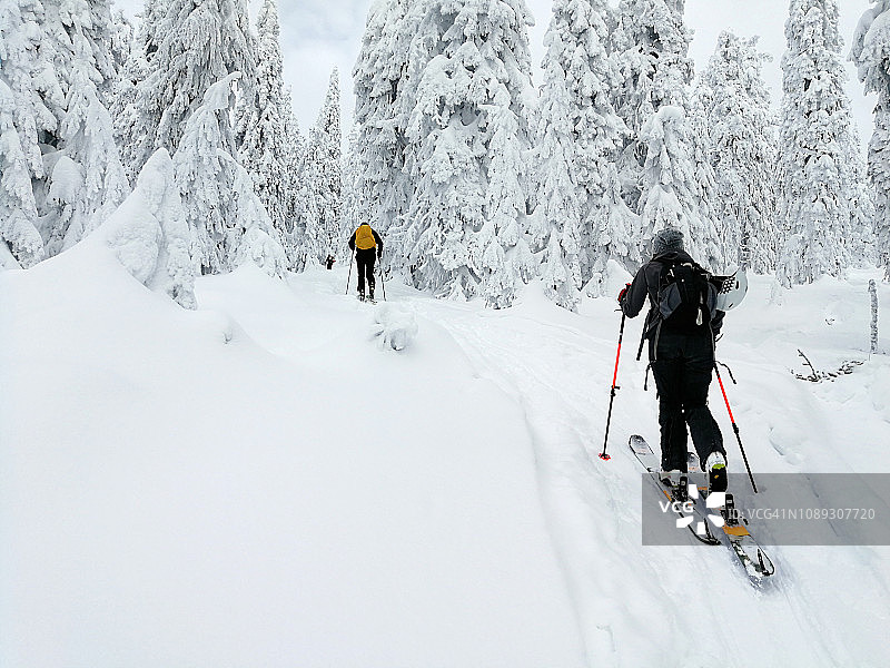 一对快乐的夫妇在雪地里徒步旅行，滑雪旅游，喀尔巴阡山脉，罗马尼亚图片素材