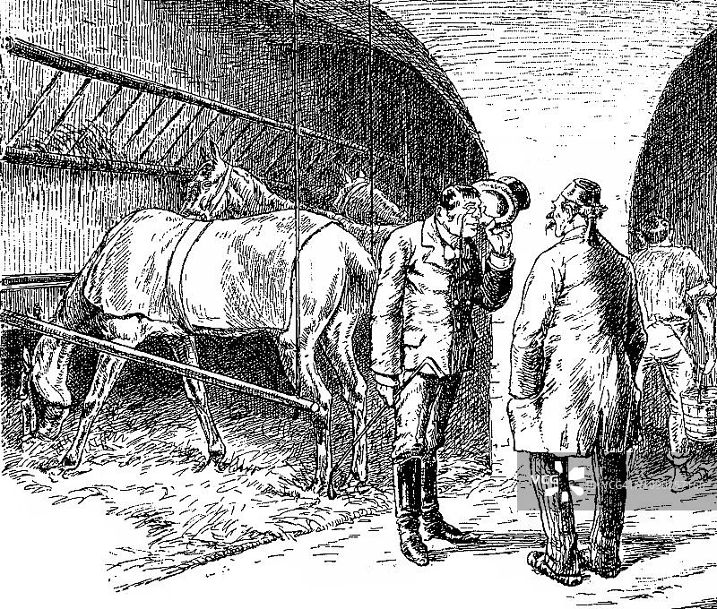 两个成年人在马厩里聊天，1896年图片素材
