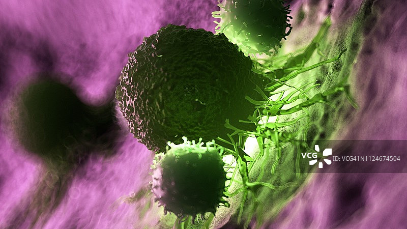 白细胞攻击癌细胞的插图图片素材