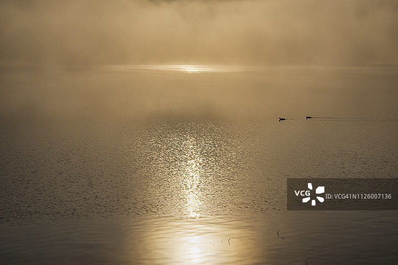 清晨初升的太阳倒映在湖中图片素材