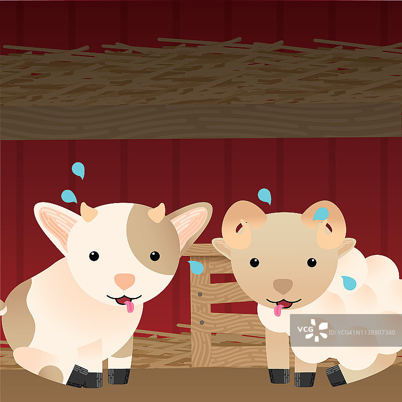 可爱的山羊和公羊在一个热天在农场图片素材