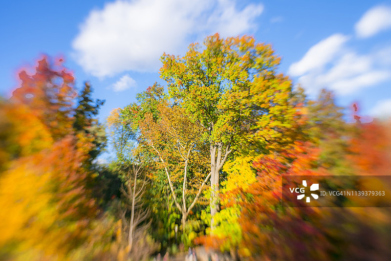 在中央公园的蓝天下，云朵漂浮在湖边五颜六色的秋树上图片素材