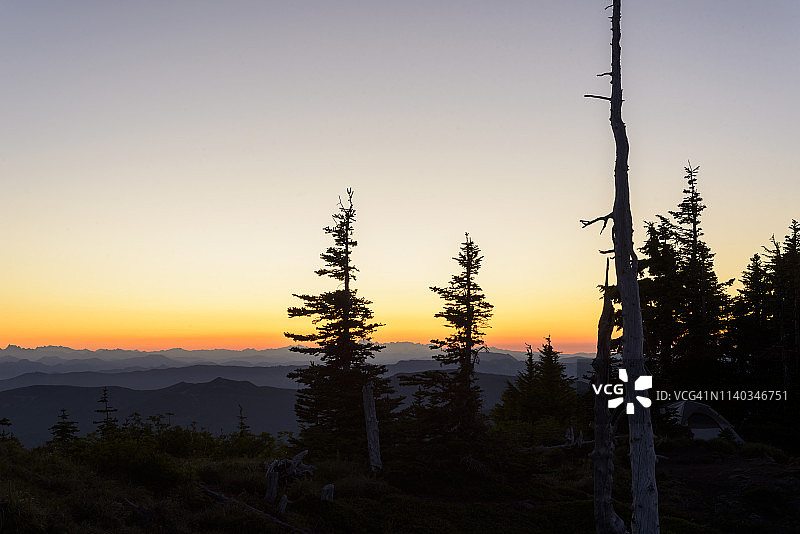 山中日落的剪影树图片素材