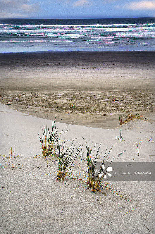 美丽的Cannon海滩海岸线图片素材