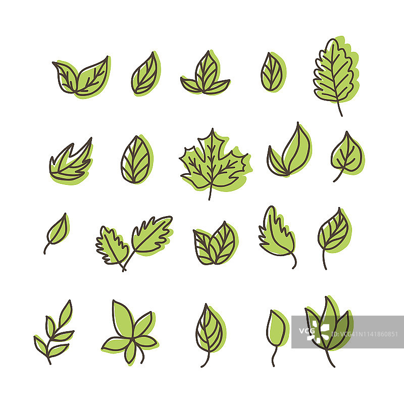 一组孤立的绿色叶子图标在白色的背景图片素材