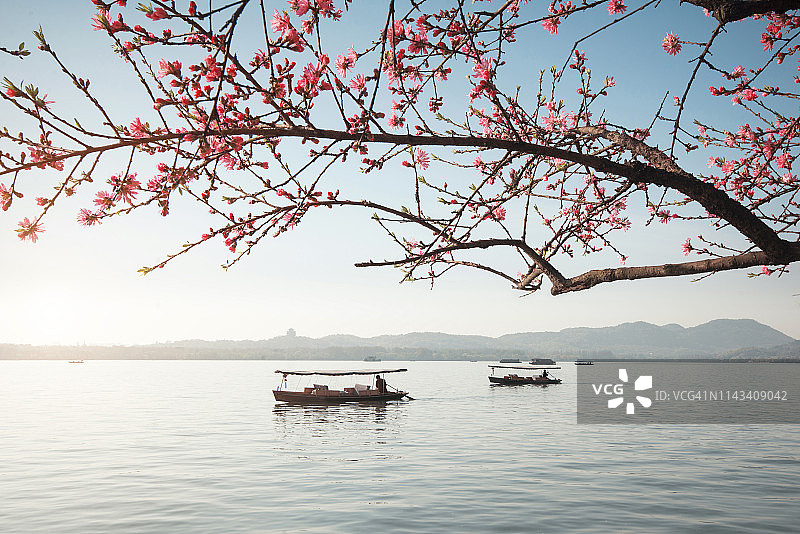盛开的桃花和船，春天的西湖，中国杭州图片素材
