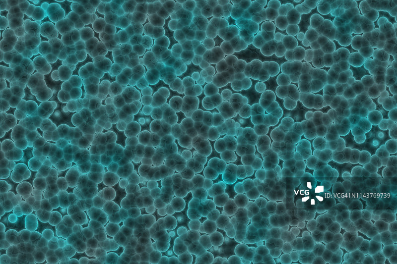细菌细胞形态:球菌，杆菌，螺旋体细菌图片素材