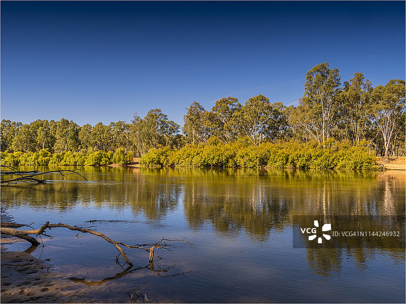 在澳大利亚新南威尔士州科罗瓦的球公园的墨累河岸上。图片素材