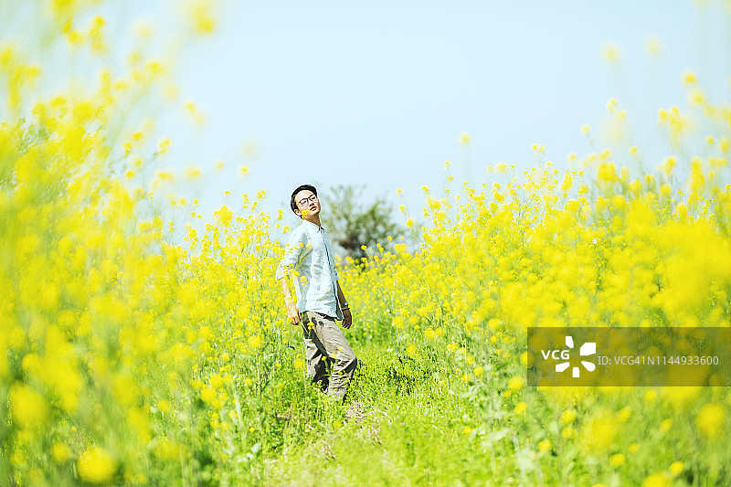 男人站在黄色的油菜籽上图片素材