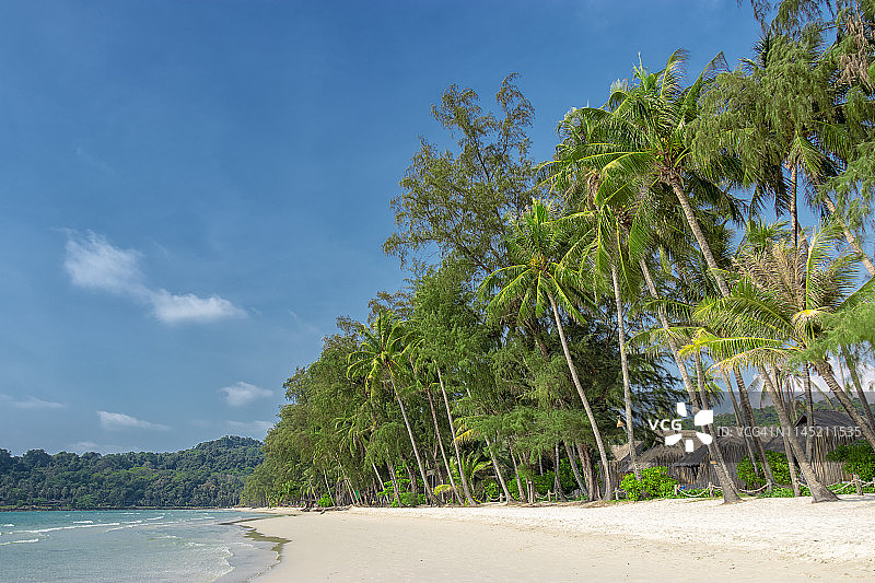 夏日的热带海滩，棕榈树和蓝天图片素材