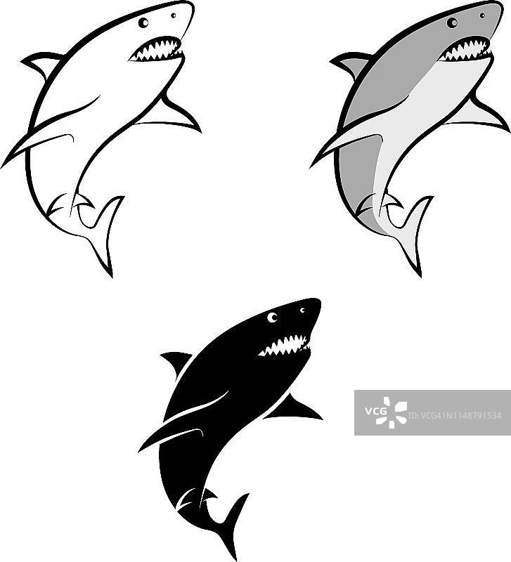 鲨鱼图片素材