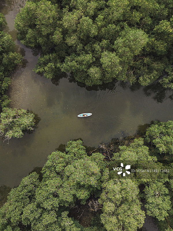 在红树林中划皮划艇的人图片素材