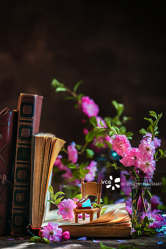 通过阅读发现一个小小的世界。一张打开的书上有杏花的小椅子。教育理念的奇迹。图片素材
