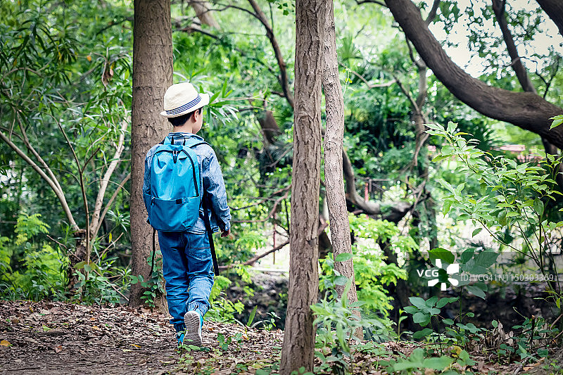 男孩在森林里探险图片素材