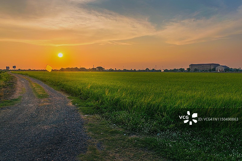 风景风景在日落时，太阳照耀在田野上对天空，泰国图片素材