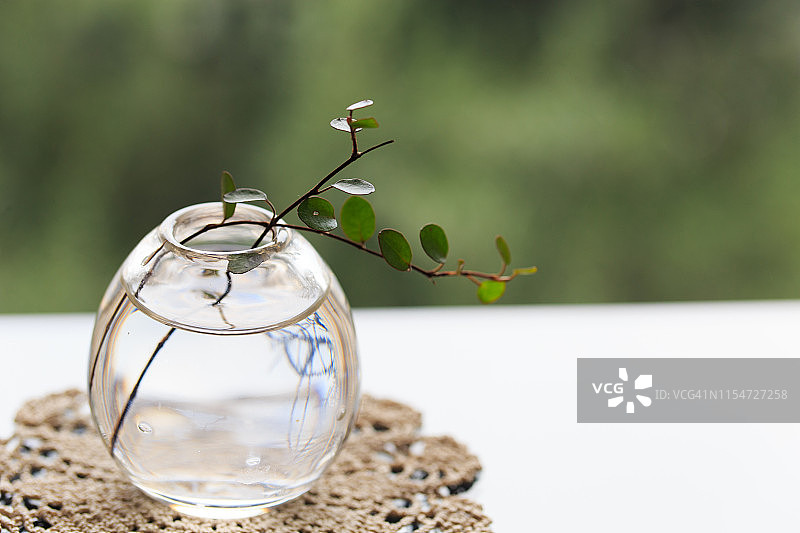 小花瓶和室内植物放在窗台上图片素材