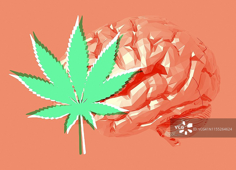 人类大脑和大麻，插图图片素材